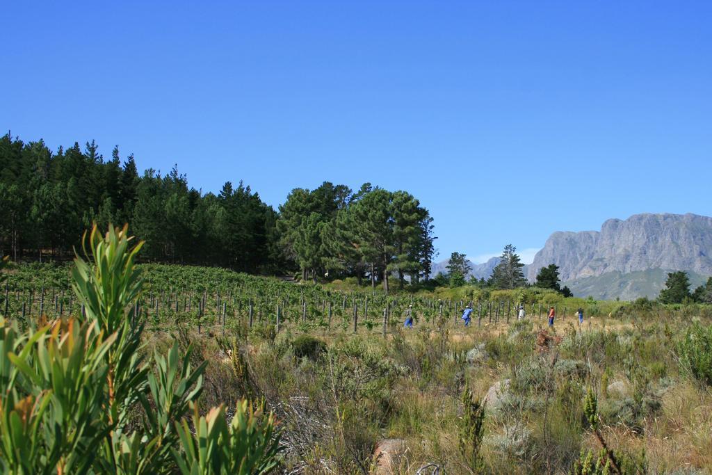 Lalapanzi 4* Somerset West