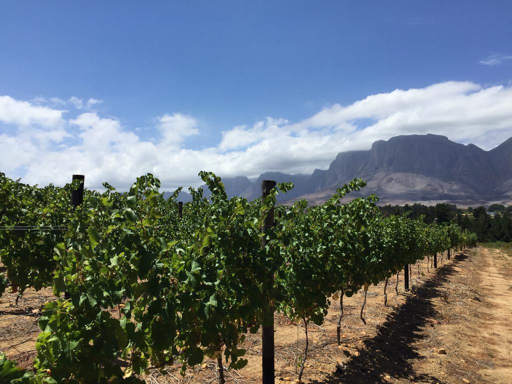 Lalapanzi 4* Somerset West